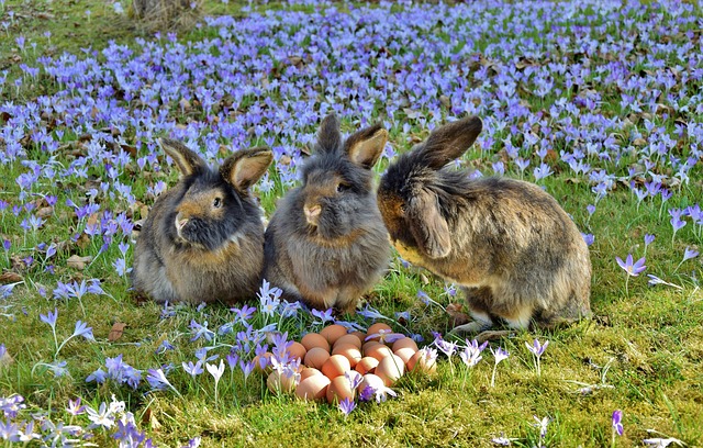 🐰 Öffnungszeiten an den Ostertagen 🐰